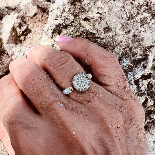 Shell Ring
